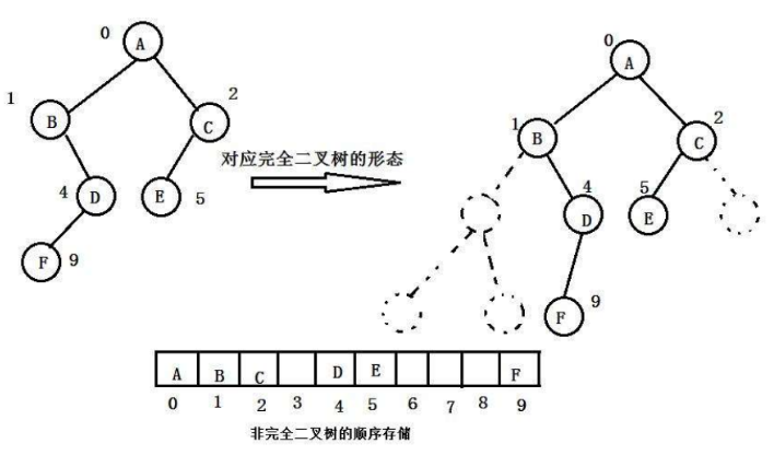 一般二叉树的顺序存储 一般二叉树的顺序存储
